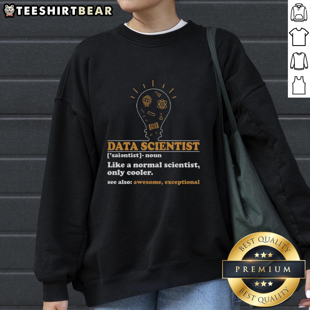 Funny data scientist definition sweatshirt featuring computer science humor, perfect for tech enthusiasts and professionals.