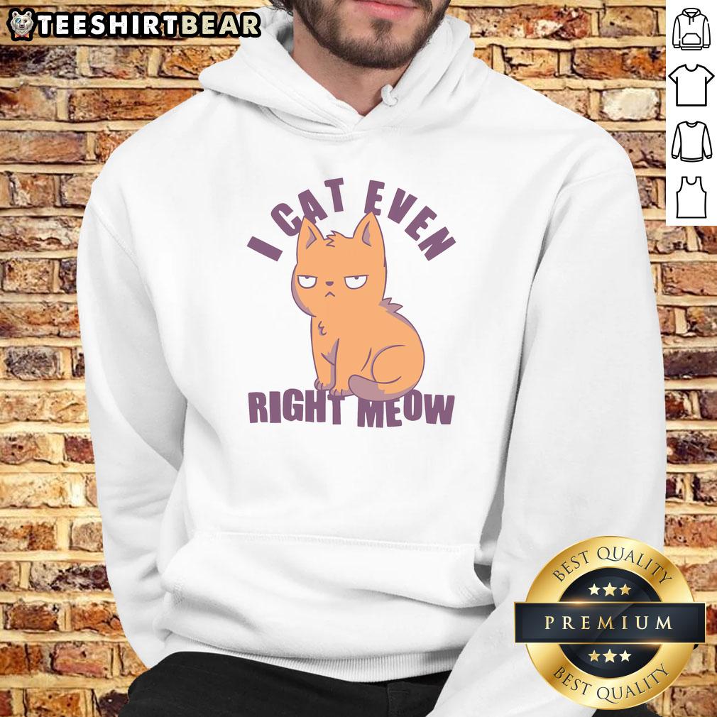 Funny smug cat hoodie featuring the phrase Nice, I Can't Even Right Meow for cat lovers and humor enthusiasts.