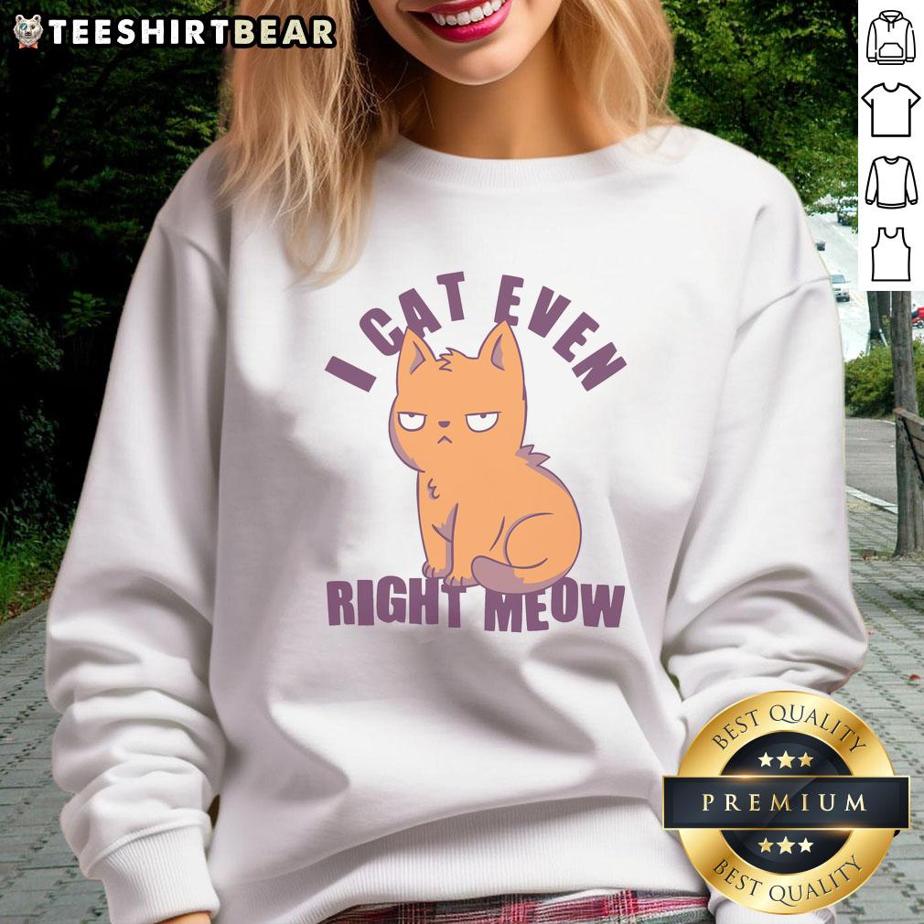 Funny smug cat sweatshirt with 'Nice, I can't even right meow' text, perfect for cat lovers and humorous fashion.