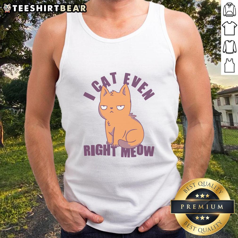 Funny smug cat wearing a tank top with 'Nice, I can't even, right meow' text, perfect for cat lovers and humor fans.