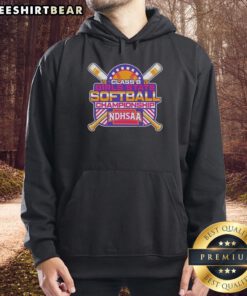 2026 Premium NDHSAA Class B Softball State Tournament hoodie featuring vibrant team colors and logo for fans.