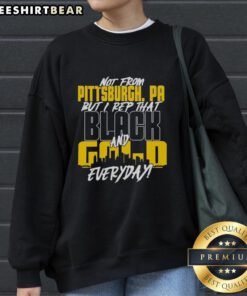 Premium Pittsburgh Steelers NFL sweatshirt in black and gold, perfect for fans showing team pride every day.