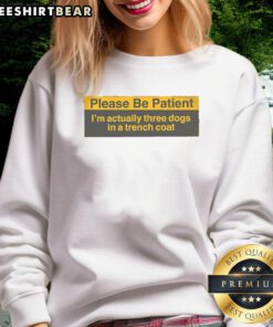 Three dogs in a trench coat sweatshirt, humorously stacked, showcasing a playful take on canine fashion and patience.