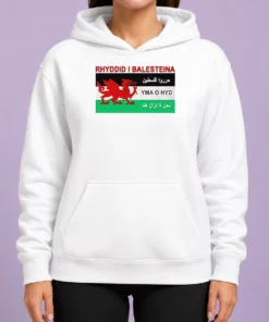 Awesome Rhyddid I Balesteina Yma O Hyd Wales Palestine Solidarity Flag Hoodie in black, front view with drawstring hood and kangaroo pocket