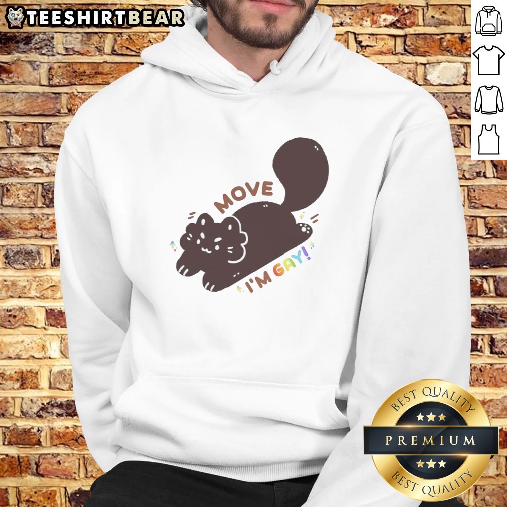 Cat Lover Shirt on Hoodie Cat Lover Shirt shown as a hoodie preview