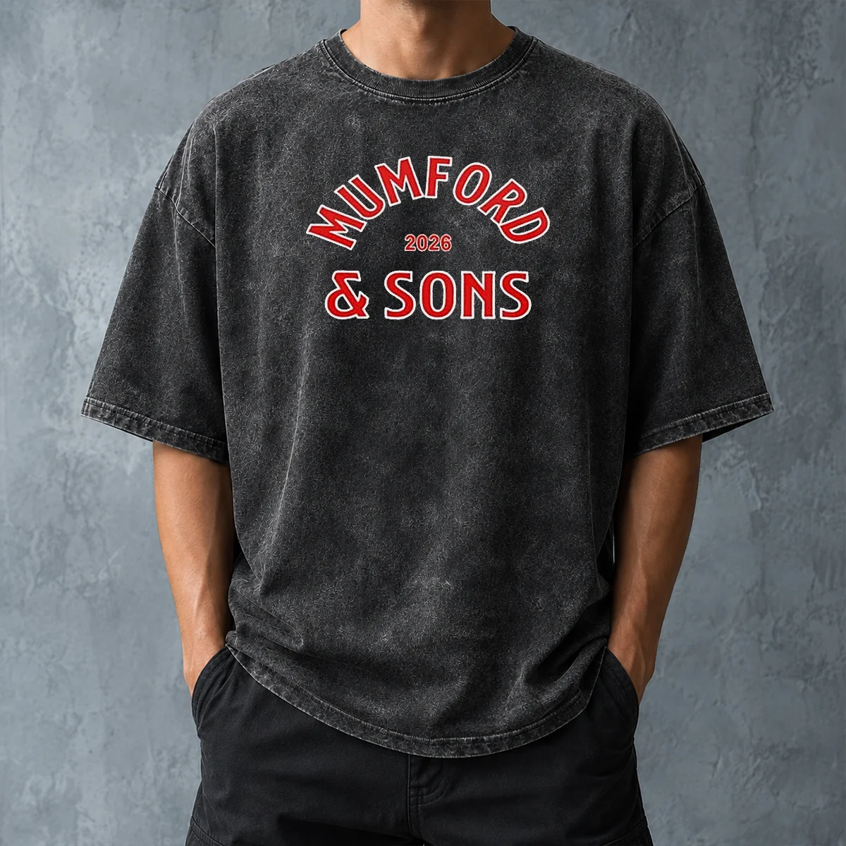 Nice Mumford And Sons 2026 Washed T-Shirt