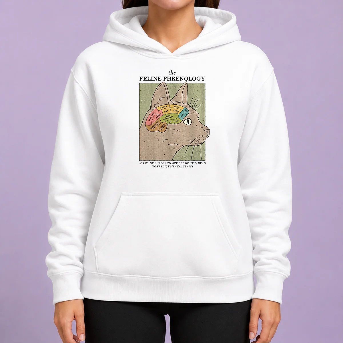 Official Feline Phrenology Hoodie