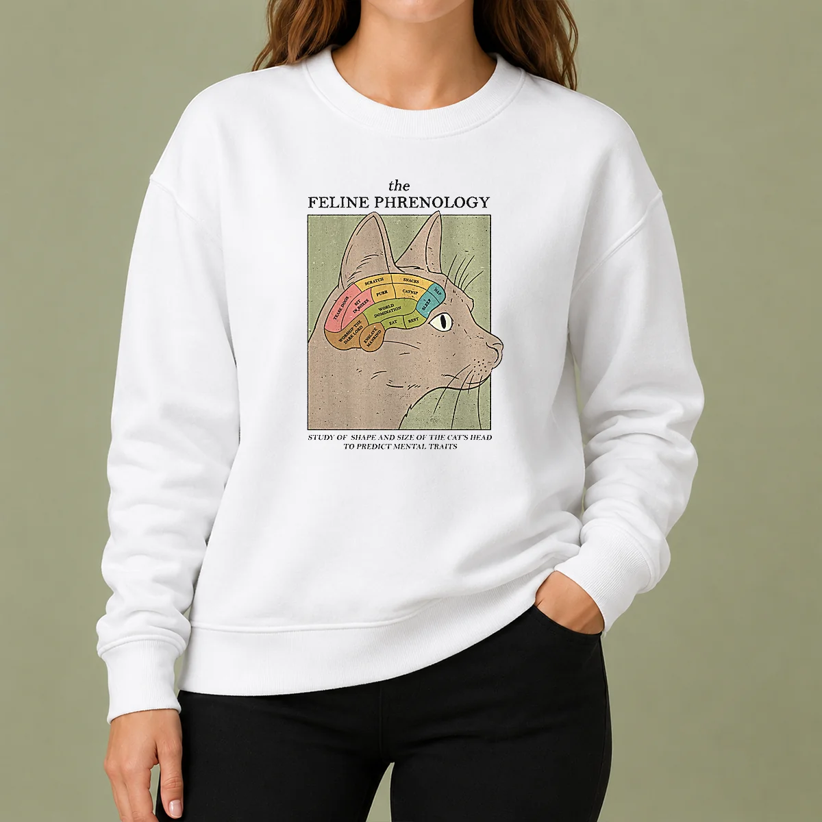 Official Feline Phrenology Sweater