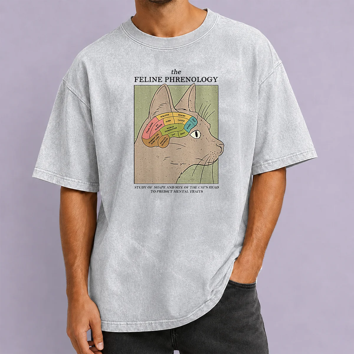 Official Feline Phrenology Washed T Shirt in soft, vintage-style fabric with printed cat phrenology design