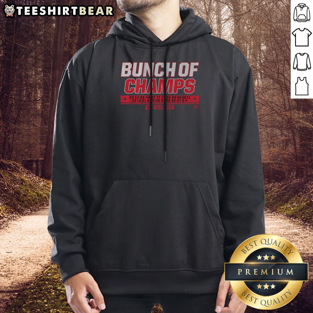 Top Carolina Hockey Bunch Of Champs Shirt on Hoodie Top Carolina Hockey Bunch Of Champs Shirt shown as a hoodie preview