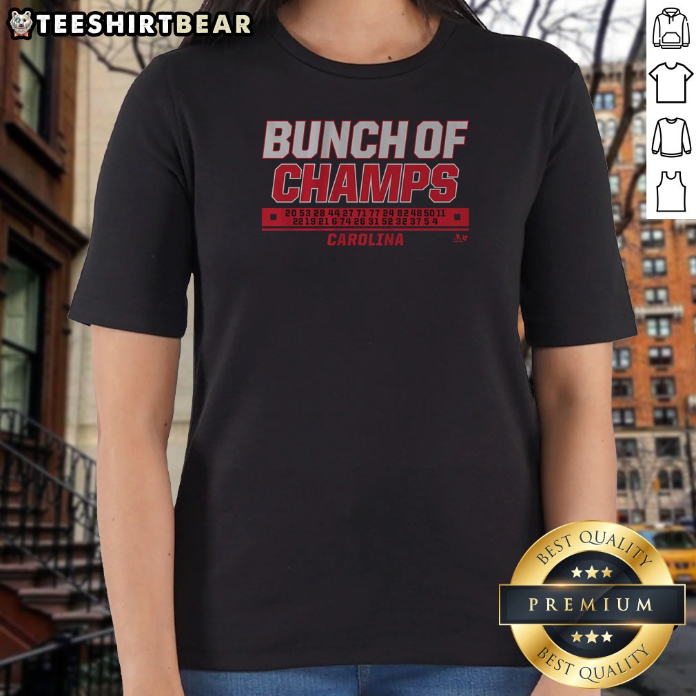 Top Carolina Hockey Bunch Of Champs Shirt on Ladies Shirt Top Carolina Hockey Bunch Of Champs Shirt shown as a ladies shirt preview