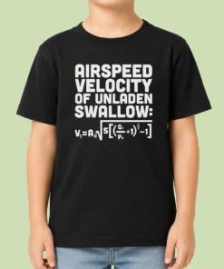 Good Airspeed Velocity Of Unladen Swallow And Equation Science Nerd Kids T-Shirt