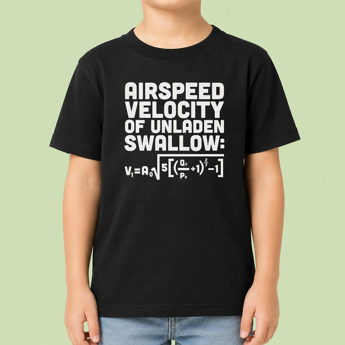 Good Airspeed Velocity Of Unladen Swallow And Equation Science Nerd Kids T-Shirt