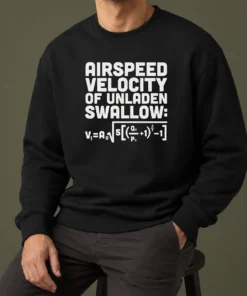 Good Airspeed Velocity Of Unladen Swallow And Equation Science Nerd Sweater