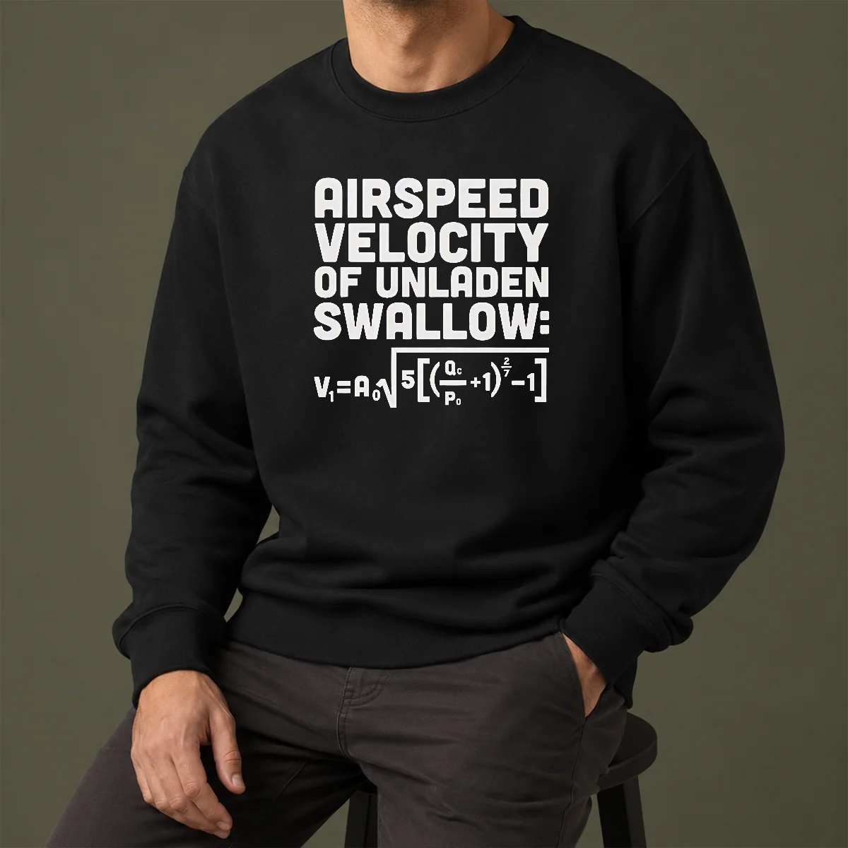 Good Airspeed Velocity Of Unladen Swallow And Equation Science Nerd Sweater