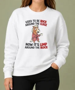 Good Horse Used To Be Rock Around The Clock Now It'S Limp Around The Block sweater in cozy fabric, front view