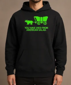 Nice Top You Have Died From American Slad Pixel Hoodie