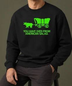 Nice Top You Have Died From American Slad Pixel Sweater