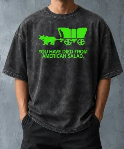 Nice Top You Have Died From American Slad Pixel Washed T Shirt front view on cotton washed t-shirt