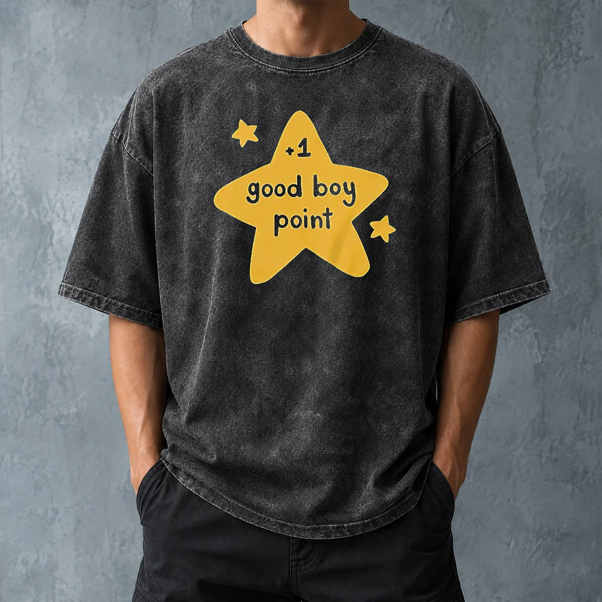 Premium Plus 1 Good Boy Point Star Reward Positive Reinforcement Washed T Shirt in soft washed cotton fabric