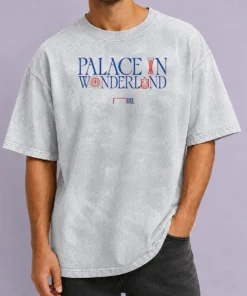 Top Back Post Palace In Wonderland FA Cup Europa League washed t shirt front view in light fabric
