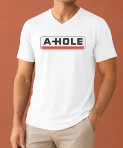 Good Original A Hole Sarcastic Insult Slang V-Neck Shirt