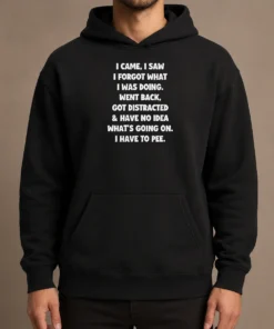Good Pretty Quote Design I Came I Saw Forgot What Was Doing Distracted Hoodie